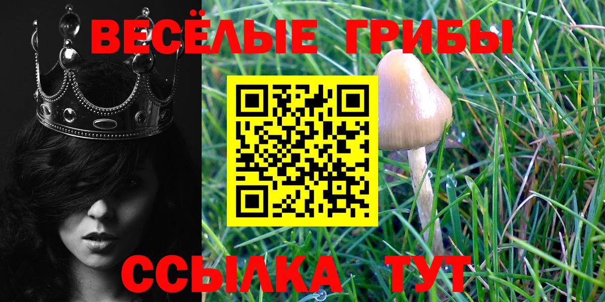 Лянтор  Псилоцибиновые грибы Psilocybe  Галлюциногенные грибы Psilocybe  Вход с VPN 